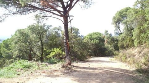 Terrenos rústicos
