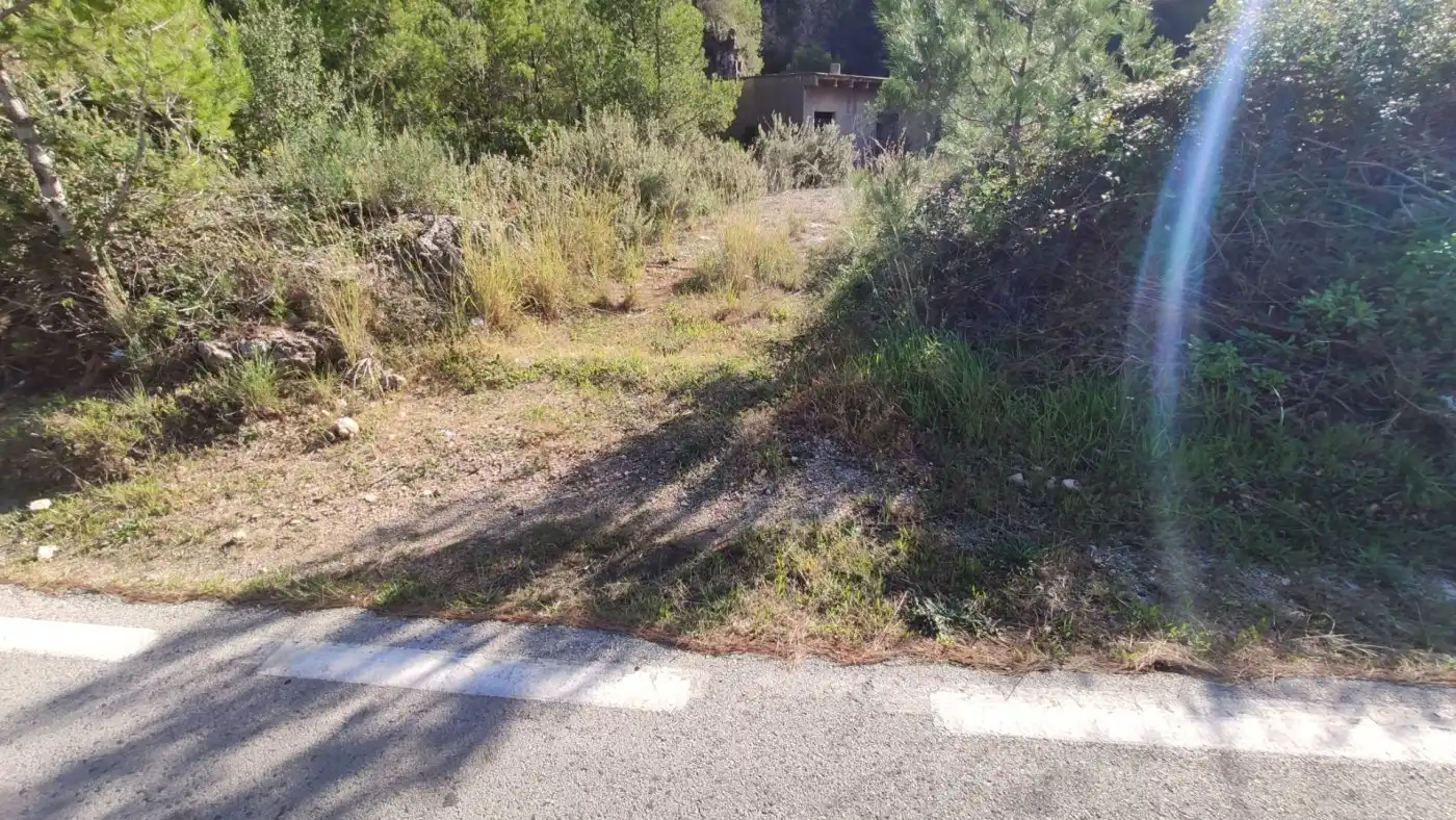 Finca rústica en venta en L'Atzúbia