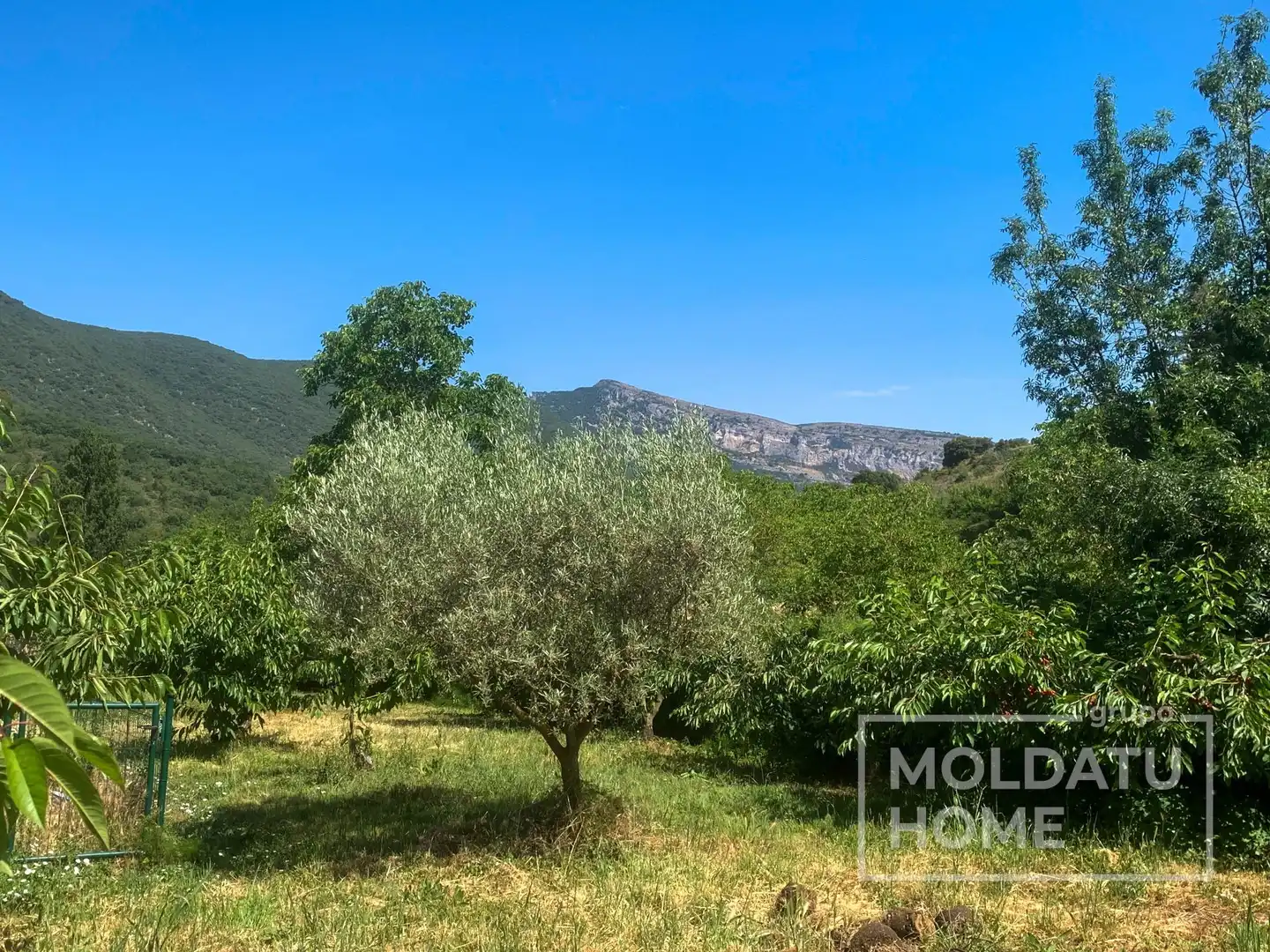 Terreno en venta en Belascoáin
