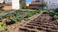 Jardí de Terreny en venda en Los Barrios