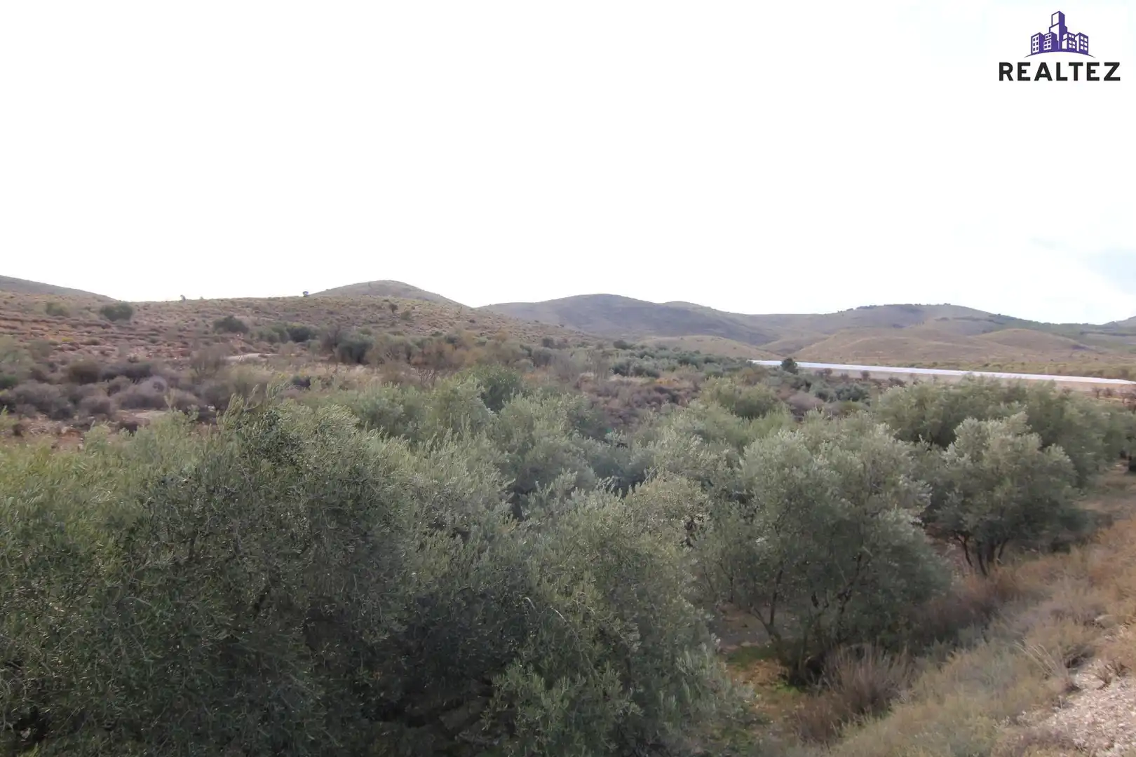 Terrain rustique à vendre à Alcolea, imagen 4
