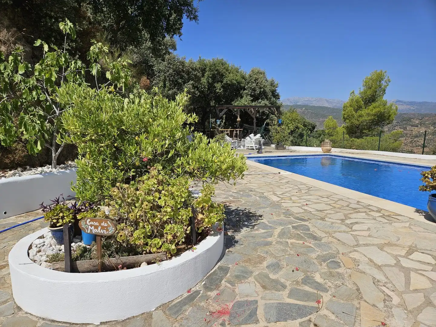 Swimming pool of Houses for sale in Monda  with Air Conditioner, Terrace and Swimming Pool