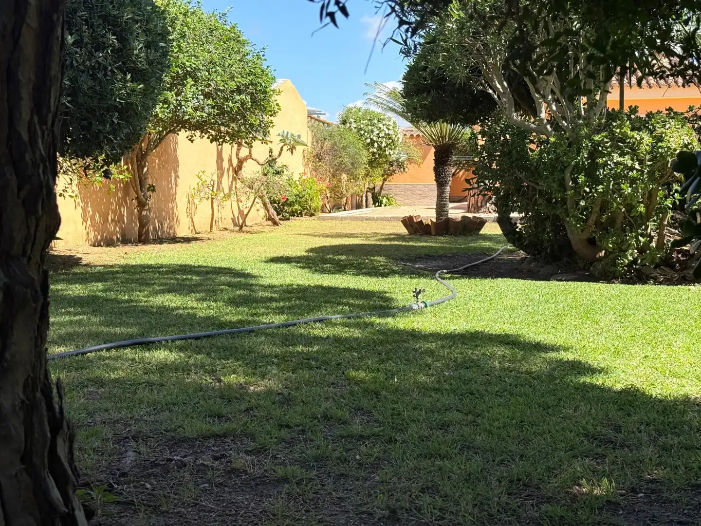 Jardí de Casa o xalet en venda en Chiclana de la Frontera