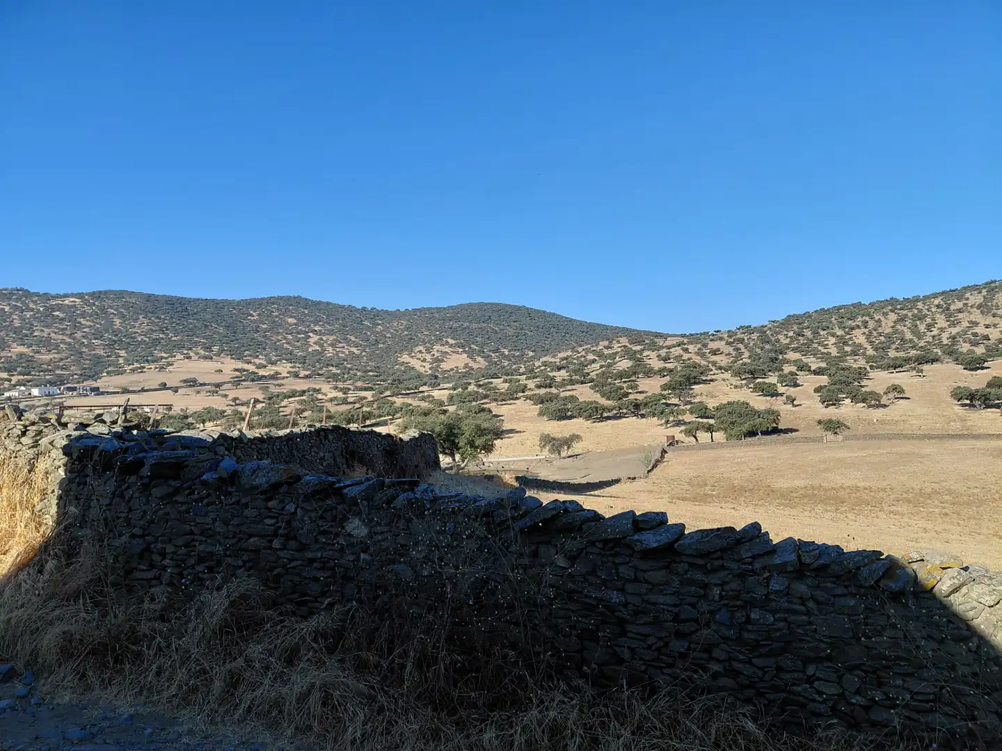 Finca rústica en venta en Segura de León con Jardín privado, Terraza y Amueblado