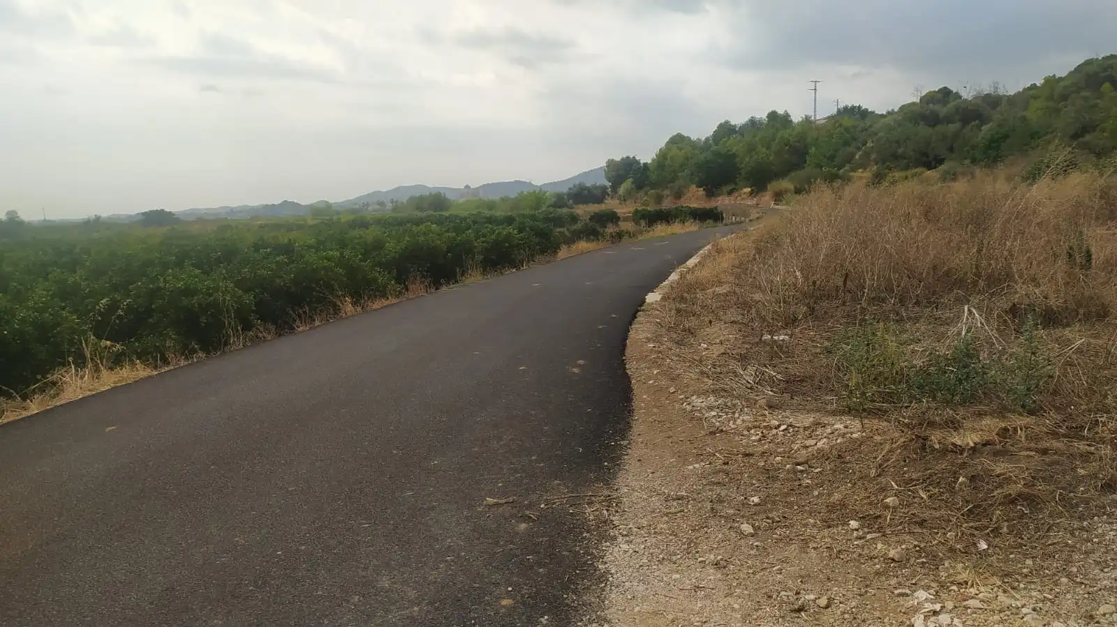Rural land for sale in Vilamarxant, imagen 4