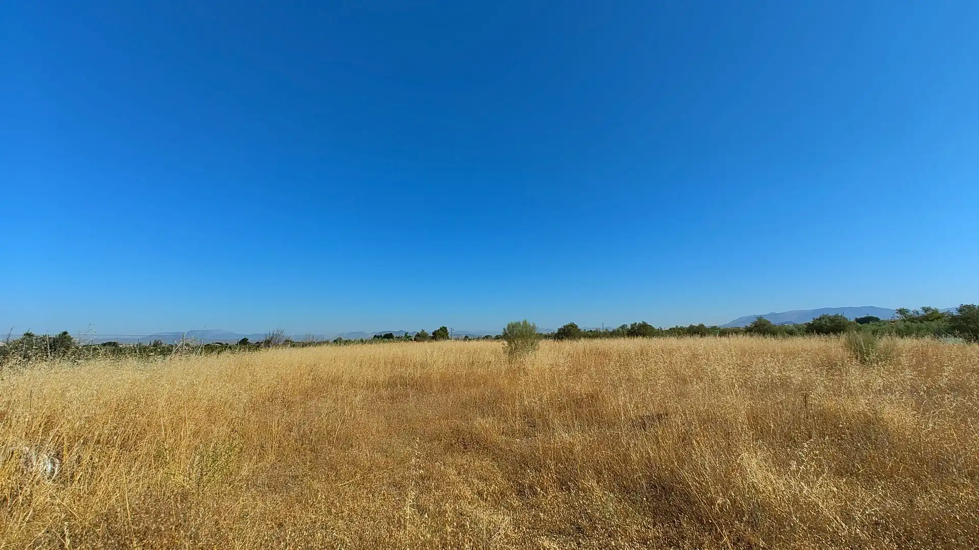 Terreno rustico in vendita a Aljancira, imagen 17
