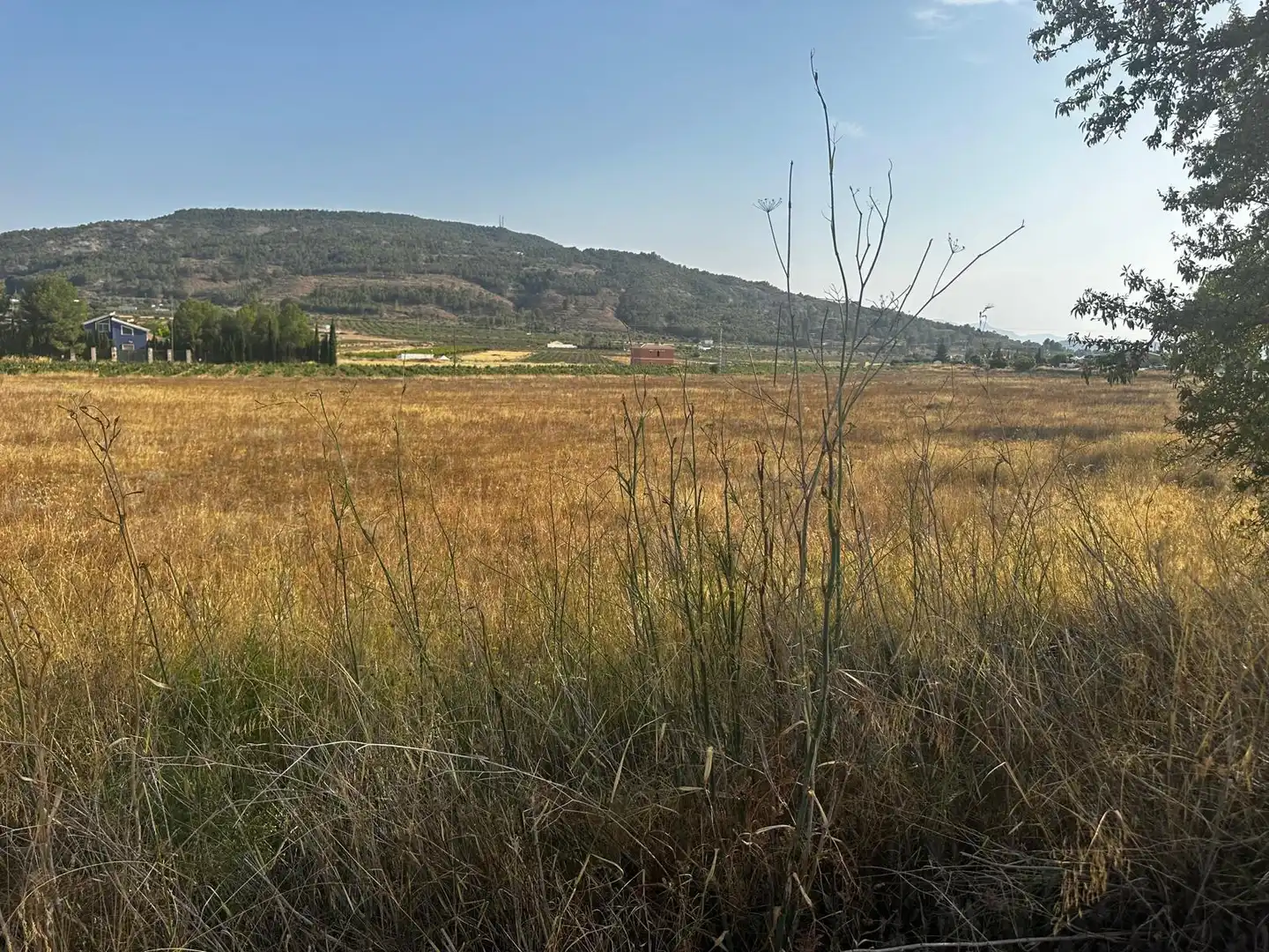 Terreno residencial en venta en El Pinós / Pinoso, imagen 9