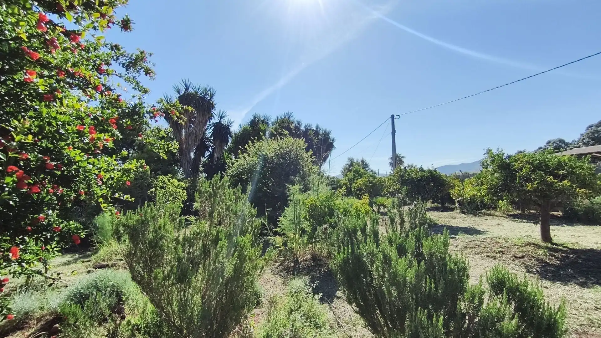 Finca rústica en venta en Alhaurín El Grande con Piscina