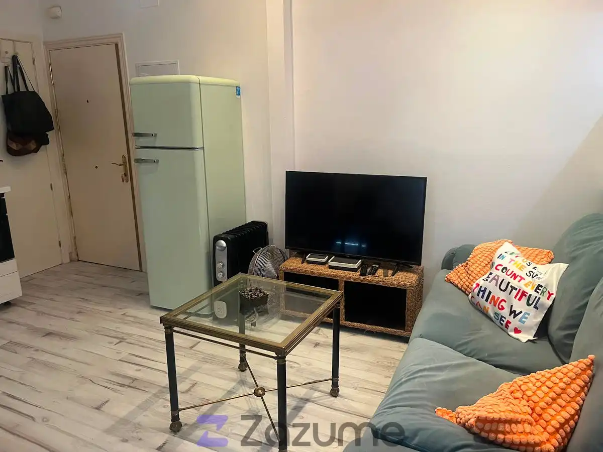 Living room of Apartments for rent in Madrid  with Heating, Terrace and Furnished