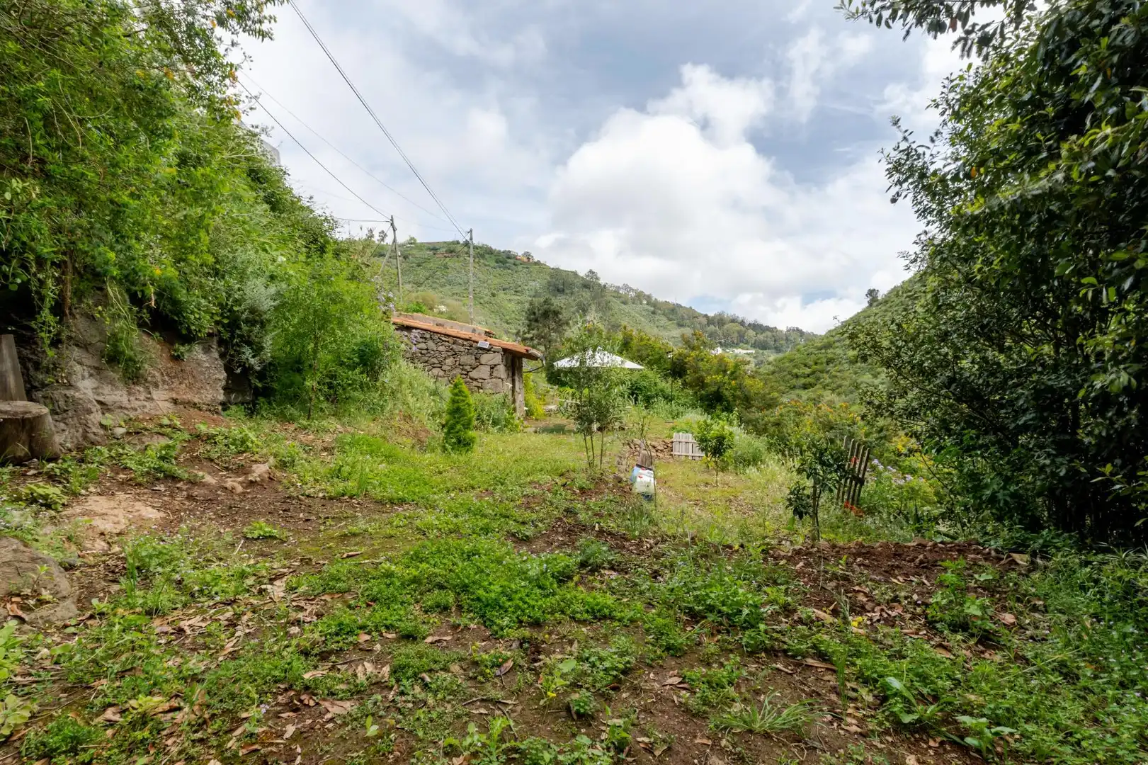 Land for sale in Teror