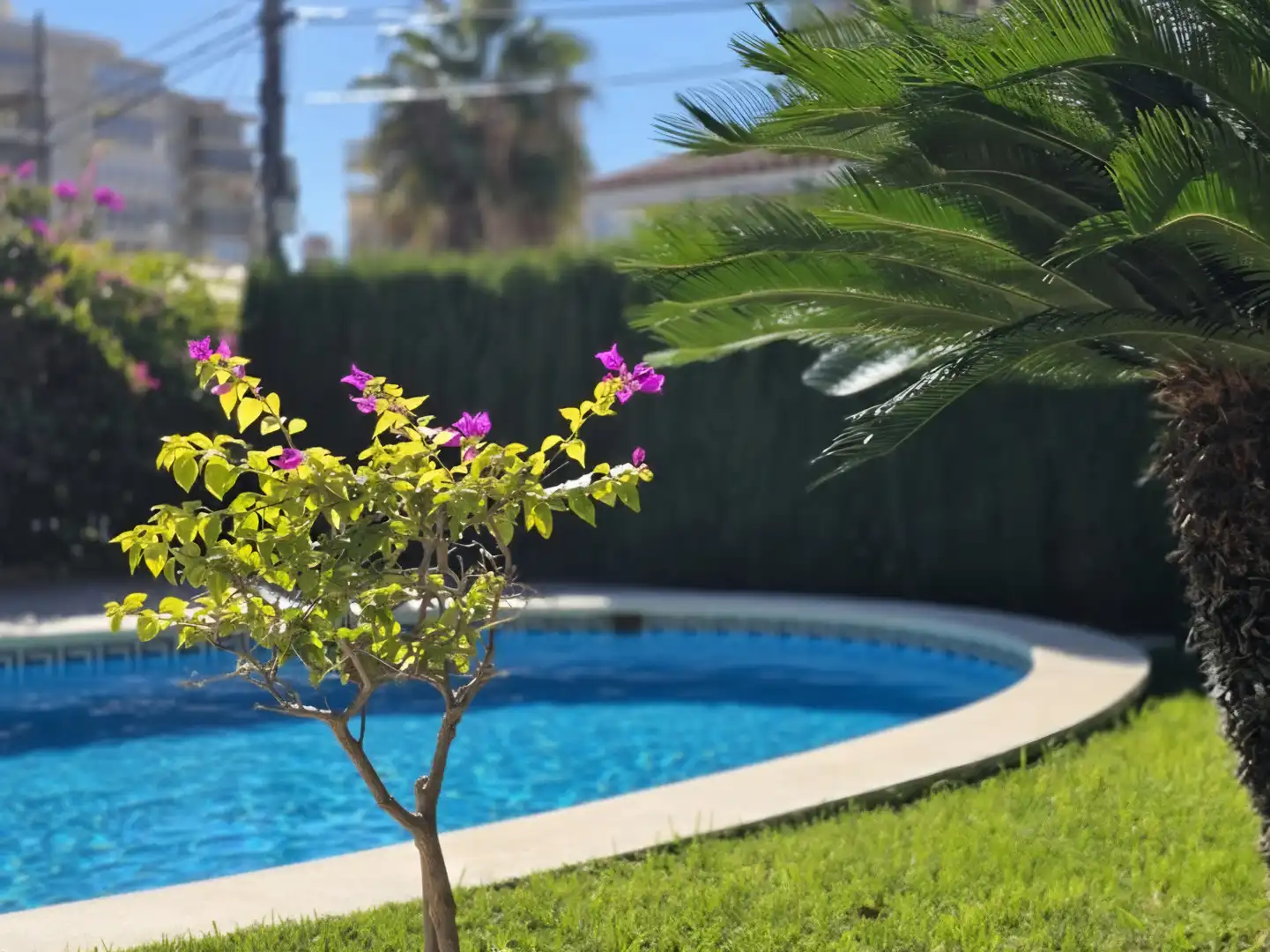 Casa o xalet en venda a TR AMERICA, 17, Torreón - La Almadraba