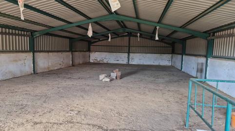 Photo 5 of Premises for sale in Dehesilla de Calamón - Campomanes, Badajoz