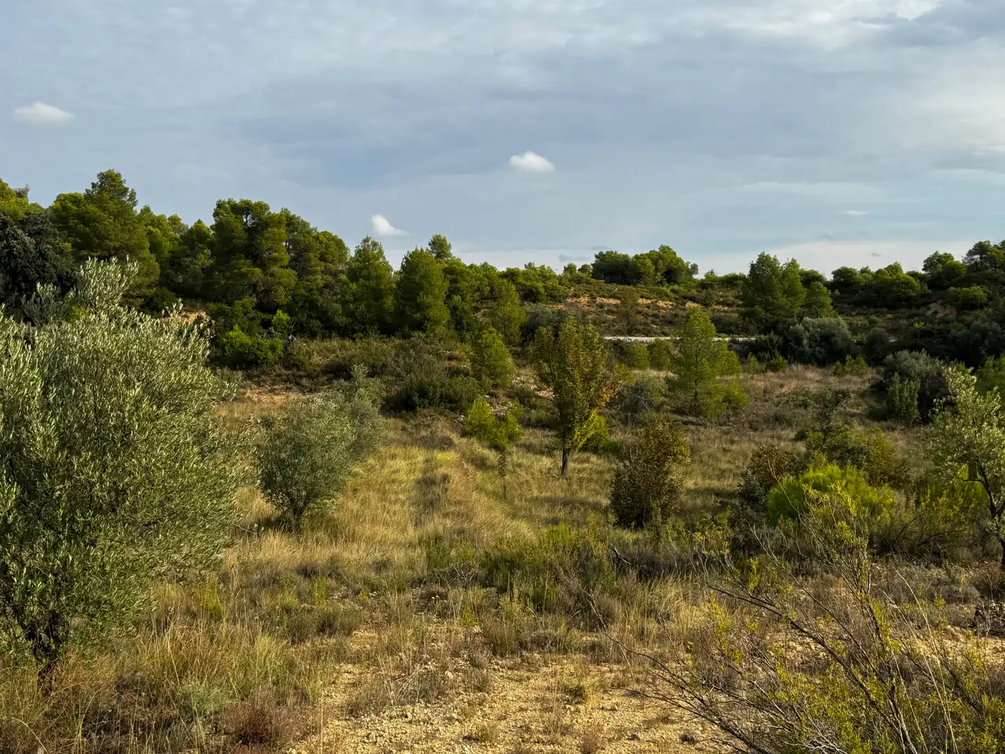 Terreni e lotti in vendita a Cretas, imagen 10