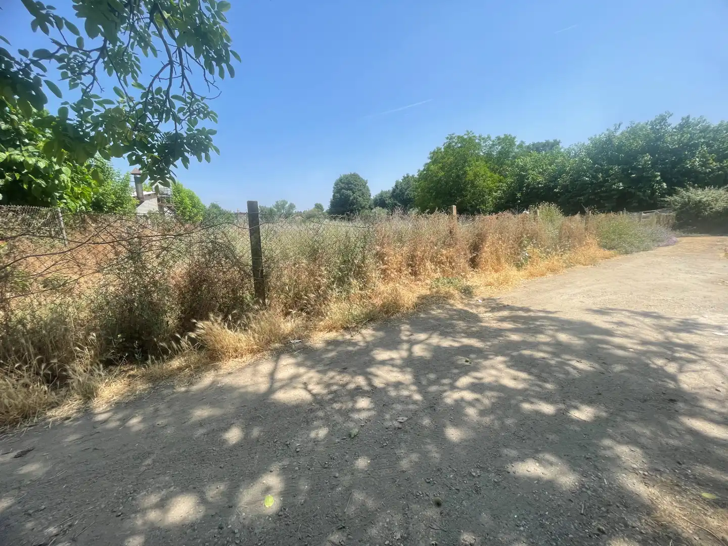 Rural land for sale in Balaguer, imagen 4