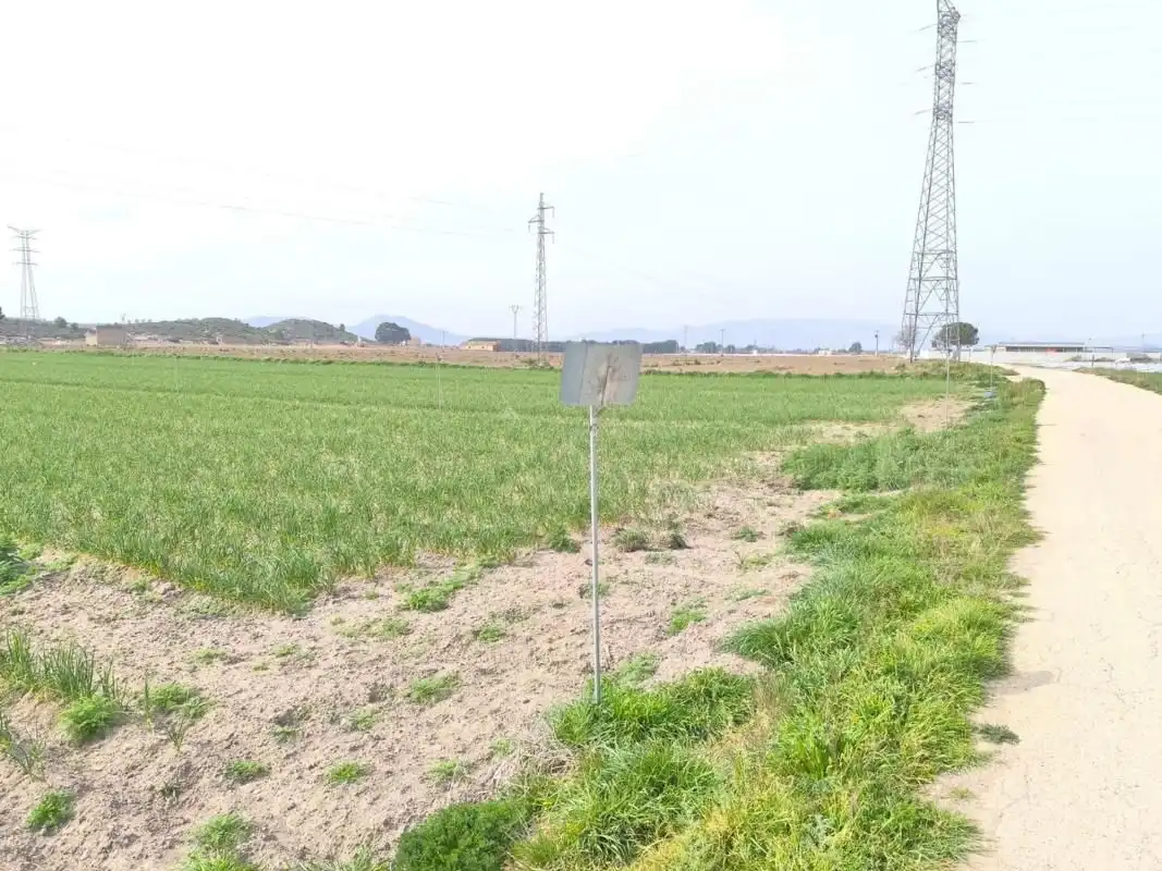 Residential land for sale in El Rabal, imagen 7