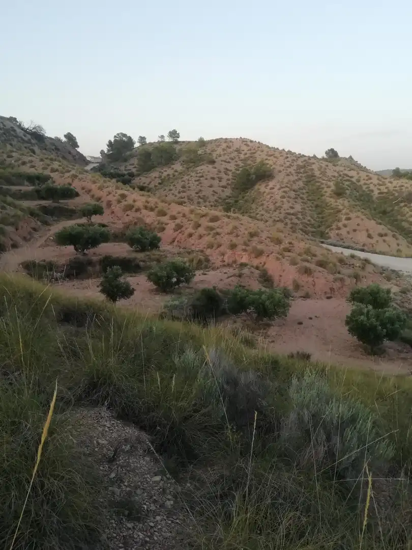 Finca rústica en venta en Abanilla