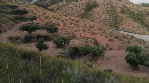 Foto 2 de Finca rústica en venta en Abanilla, Murcia