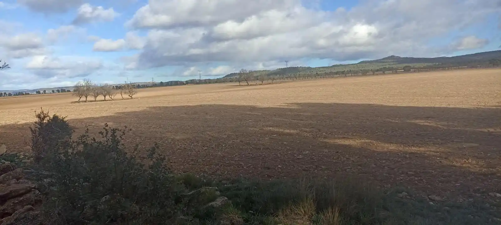 Terreny rústic en venda a Ayora, imagen 6