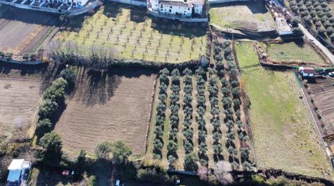 Foto 2 de Finca rústica en venda a La Zubia Ciudad, Granada