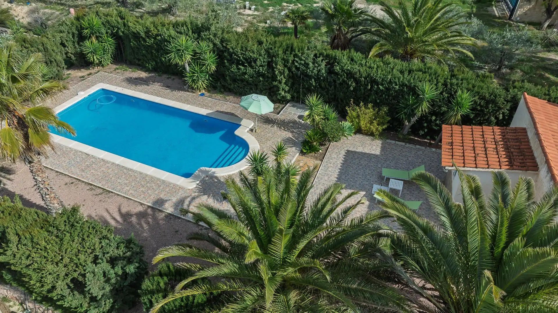 Piscina de Casa o chalet en venta en Novelda con Aire acondicionado, Calefacción y Jardín privado