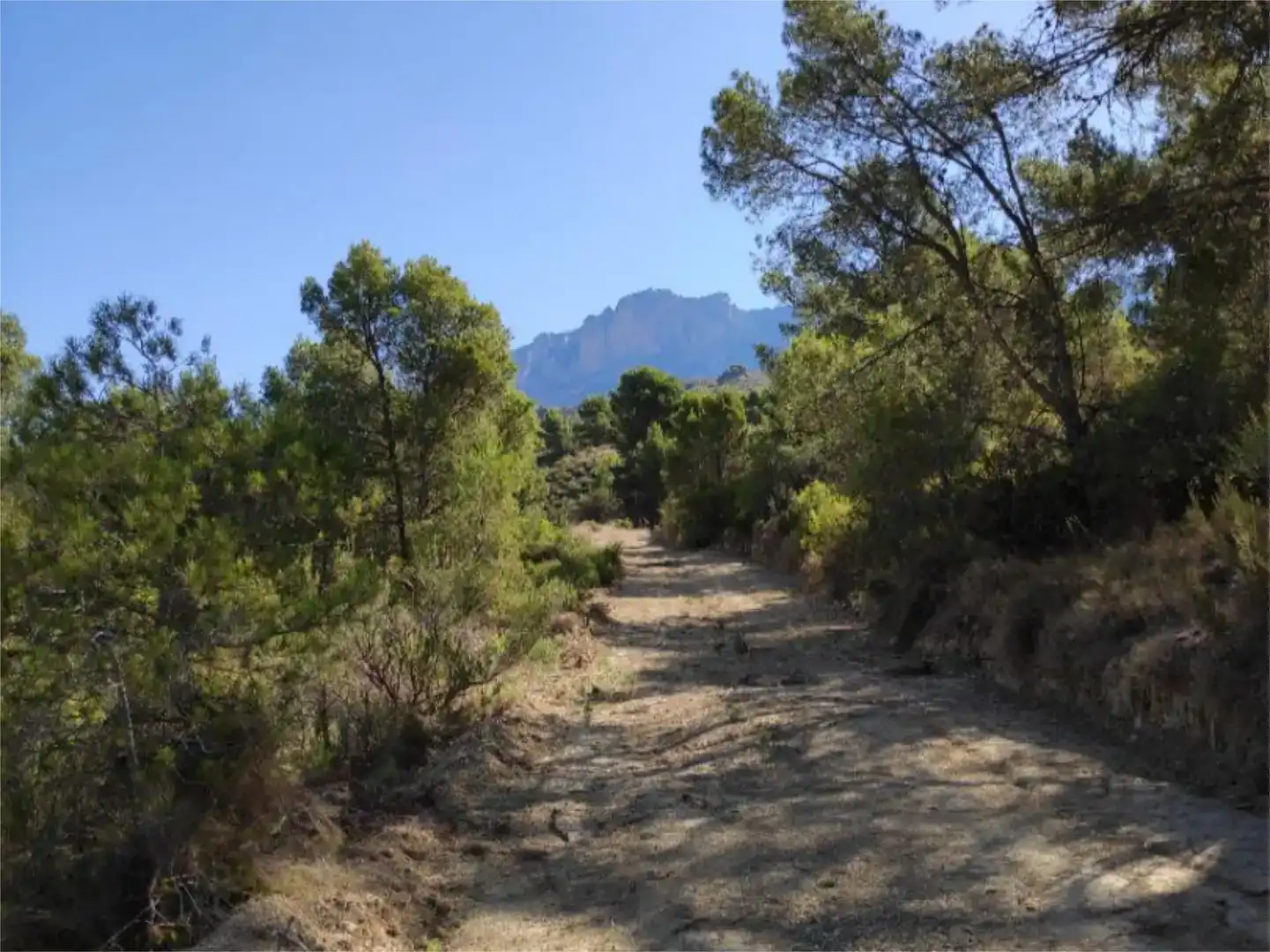 Vista exterior de Terreno en venta en Busot