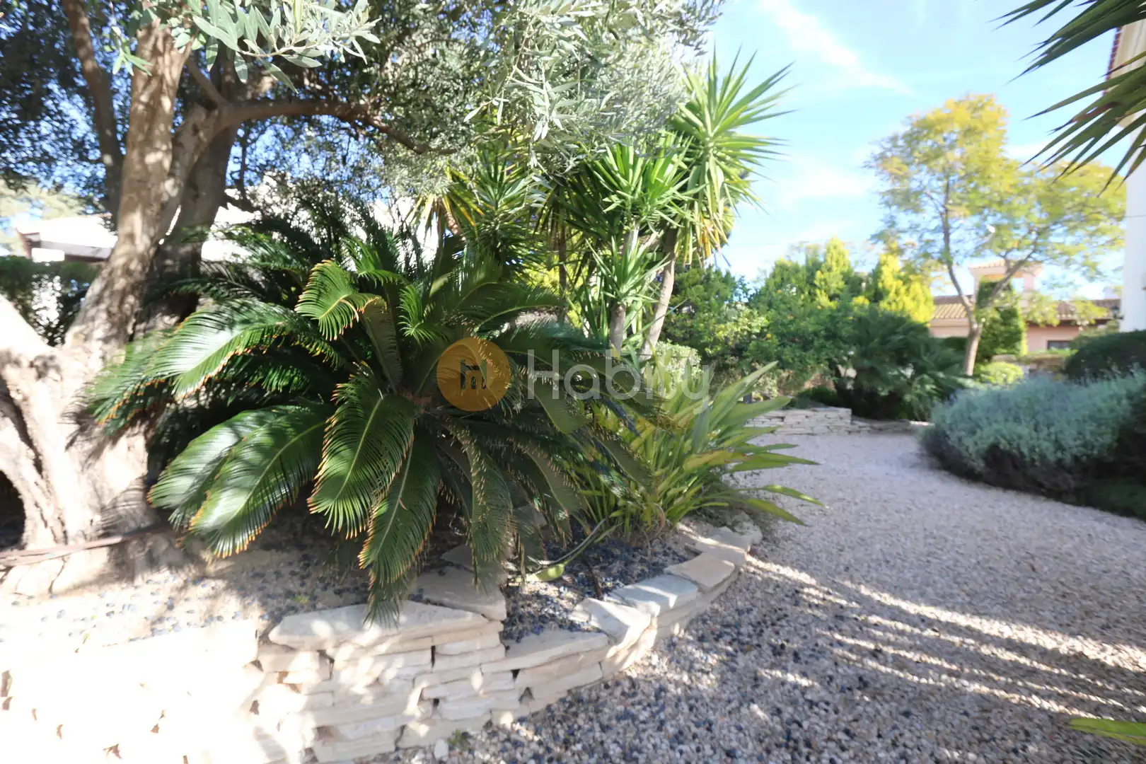 Jardí de Casa o xalet en venda en Fuente Álamo de Murcia amb Aire condicionat, Calefacció i Jardí privat