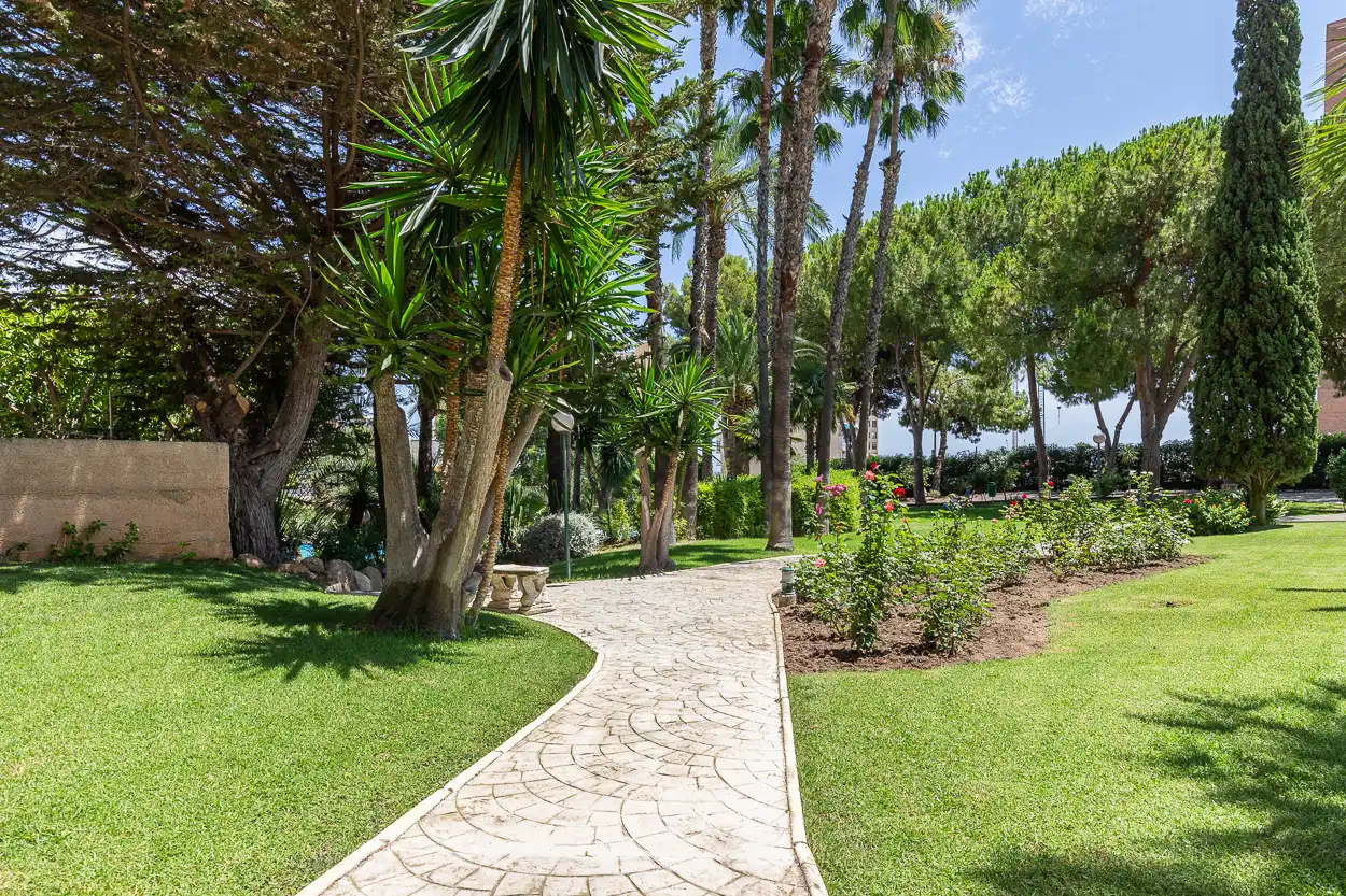 Jardín de Piso en venta en Benidorm con Piscina, Amueblado y Piscina comunitaria