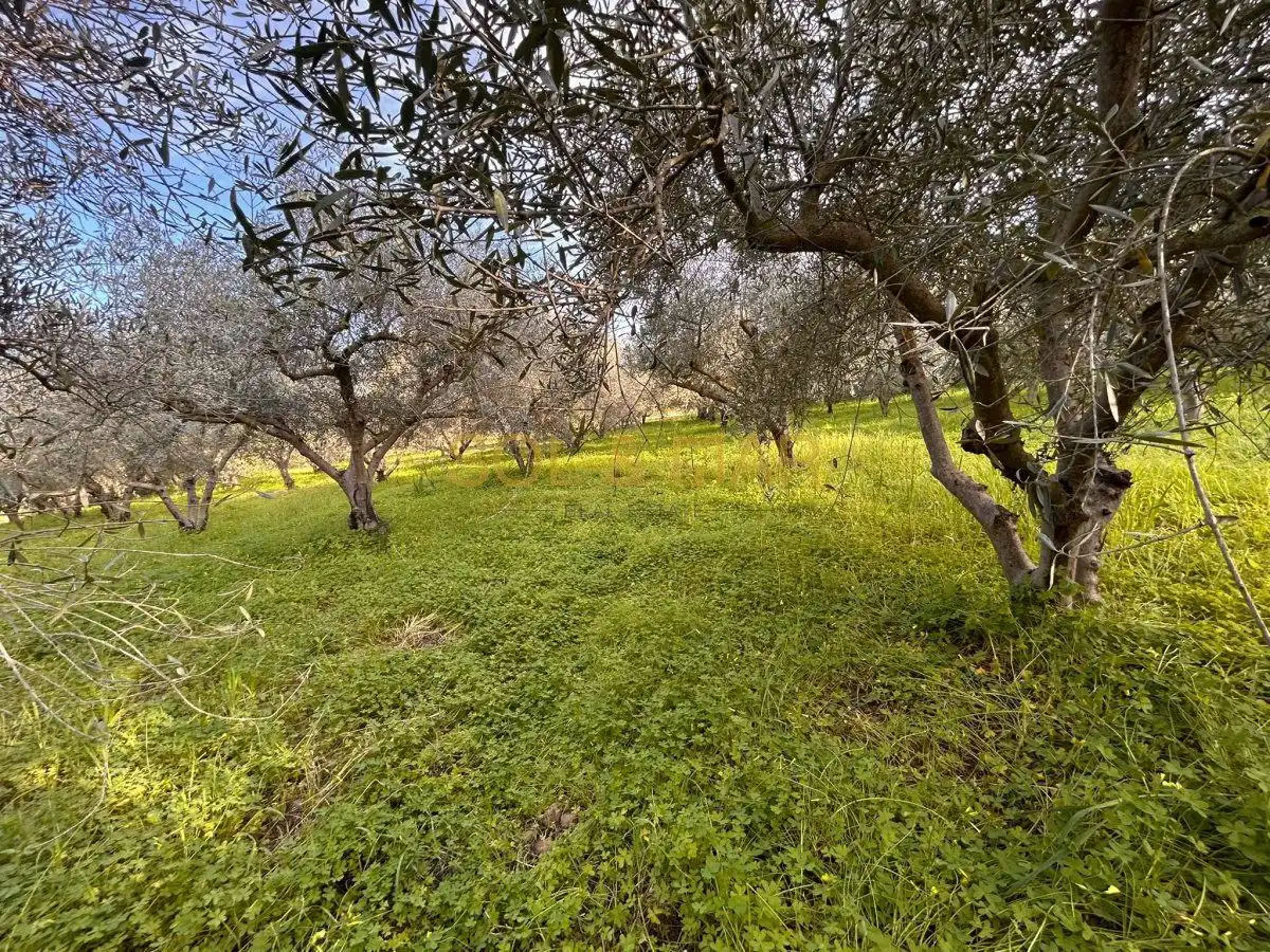 Casa rústica en venta en Nueva Aljaima - Las Tres Leguas - Los Mondeños, imagen 8
