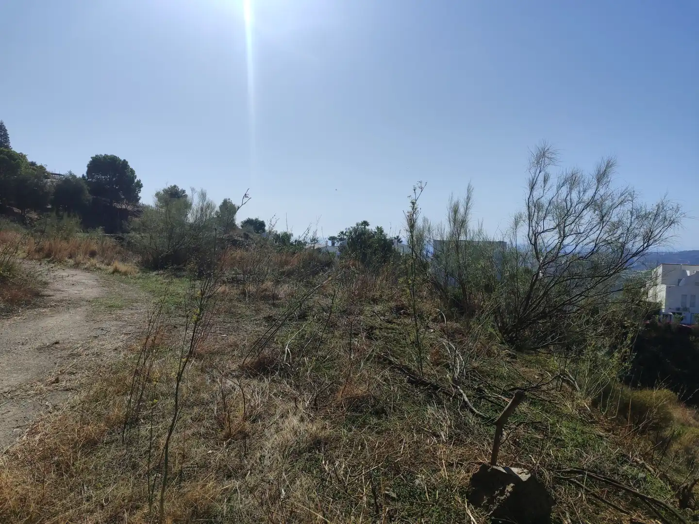 Terreny en venda en Algarrobo