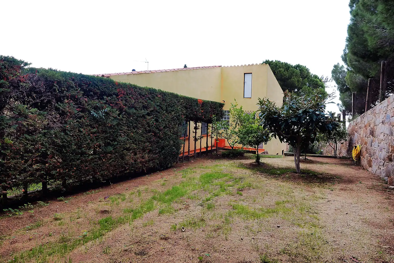 Jardí de Casa o xalet en venda en Canet de Mar amb Jardí privat, Terrassa i Piscina