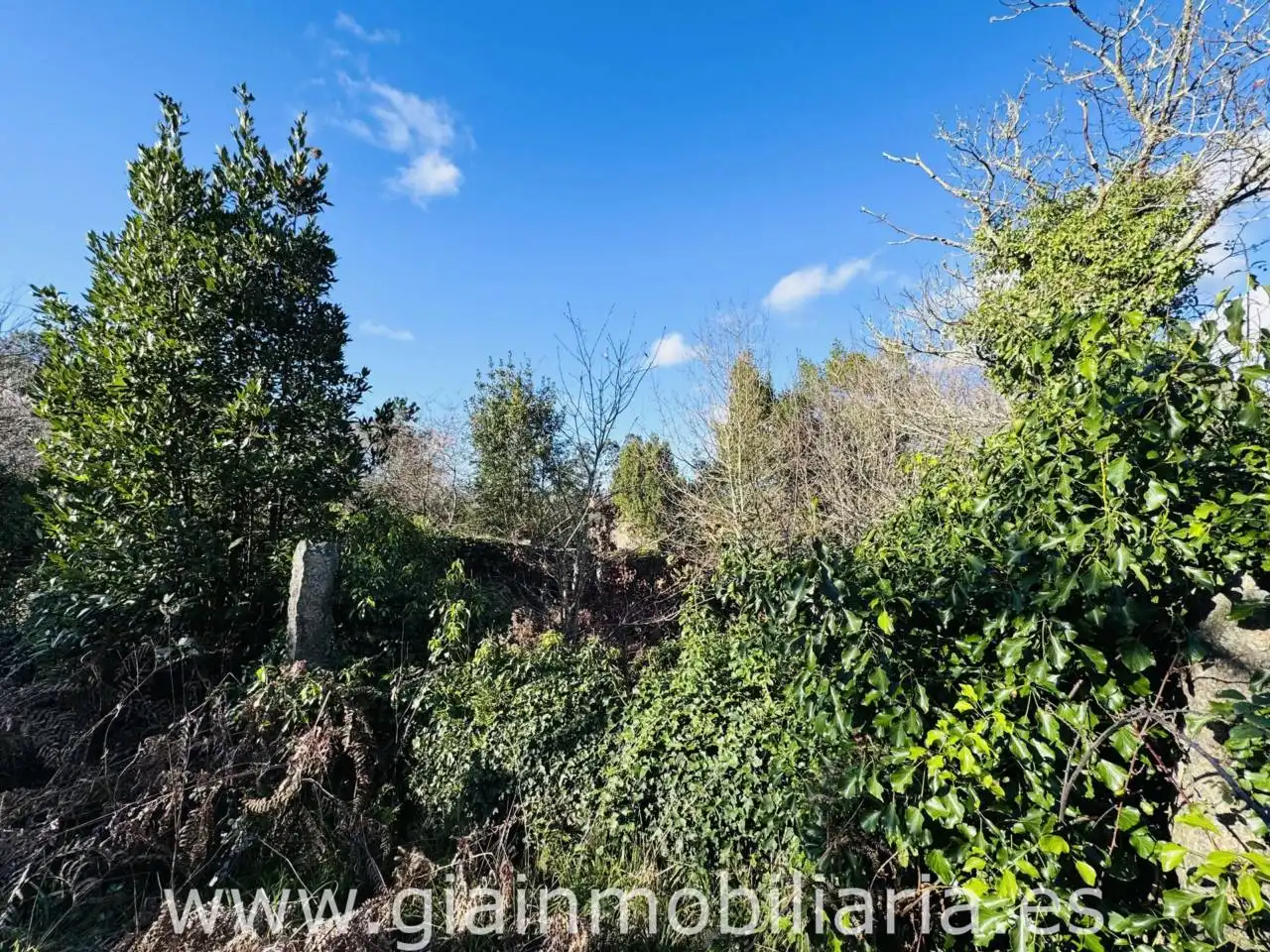 Casa amb jardí en venda a Carretera Carracido, imagen 6