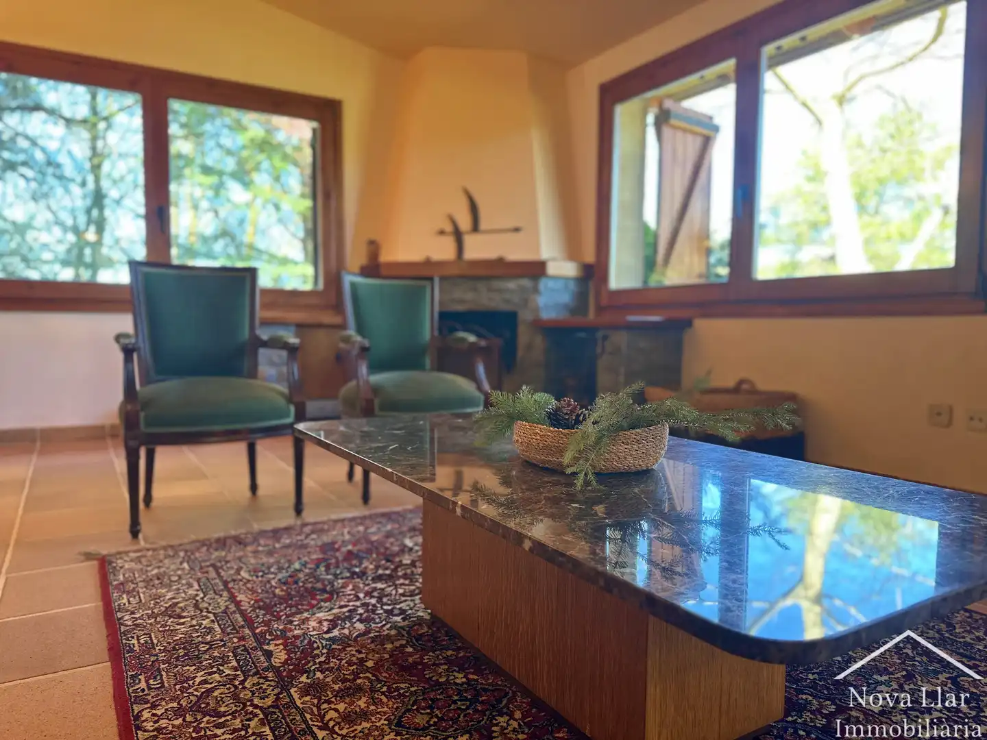 Casa o chalet en venta en Carrer Prat de l'Om, Vallfogona de Ripollès