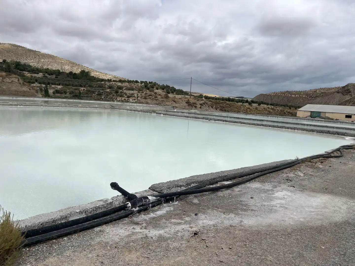 Swimming pool of Industrial land for sale in La Malahá