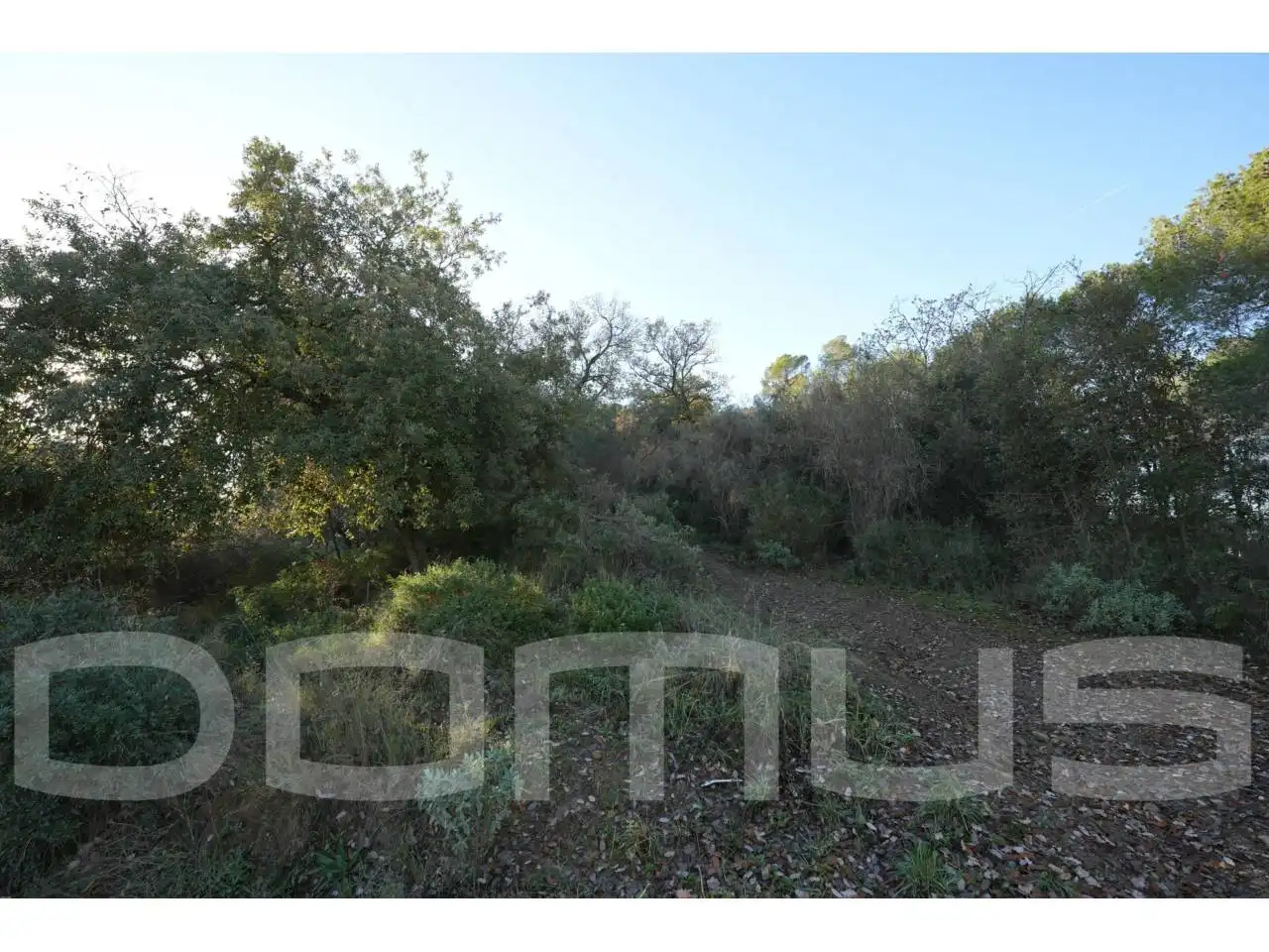Terreno rústico en venta en Sant Vicenç Dels Horts, imagen 9