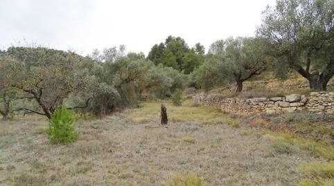 Foto 5 de Finca rústica en venta en Lledó, Teruel