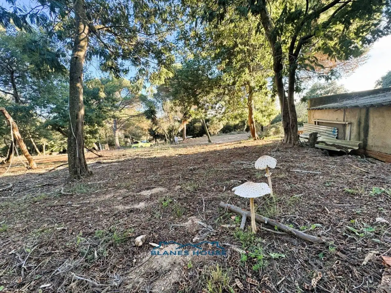 Finca rústica en venda en Tordera amb Jardí privat