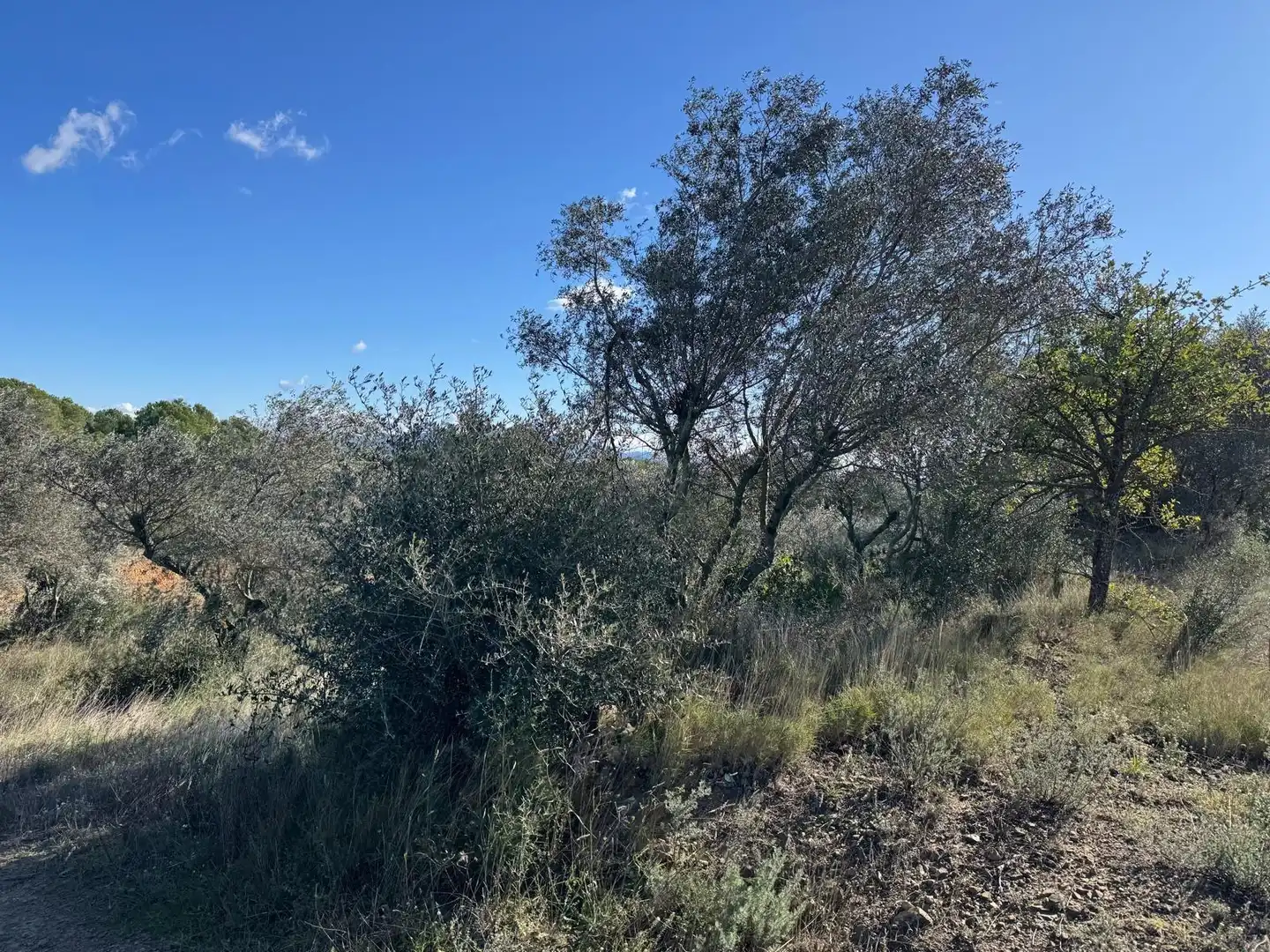 Rural land for sale in Rabós, imagen 8