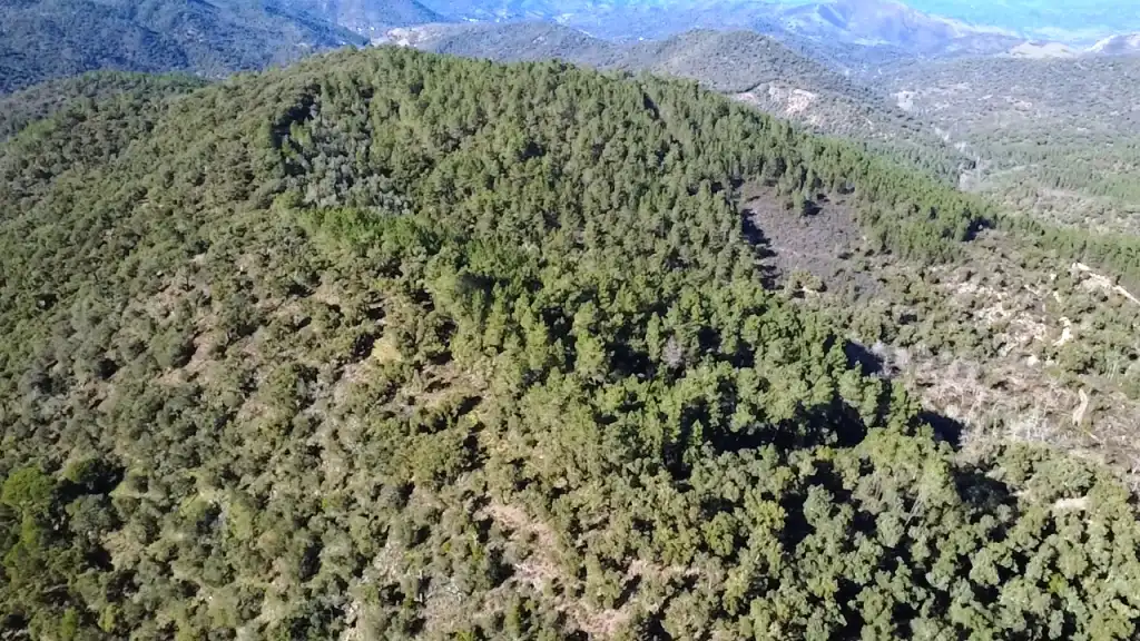 Terreni e lotti in vendita a Galaroza, imagen 4