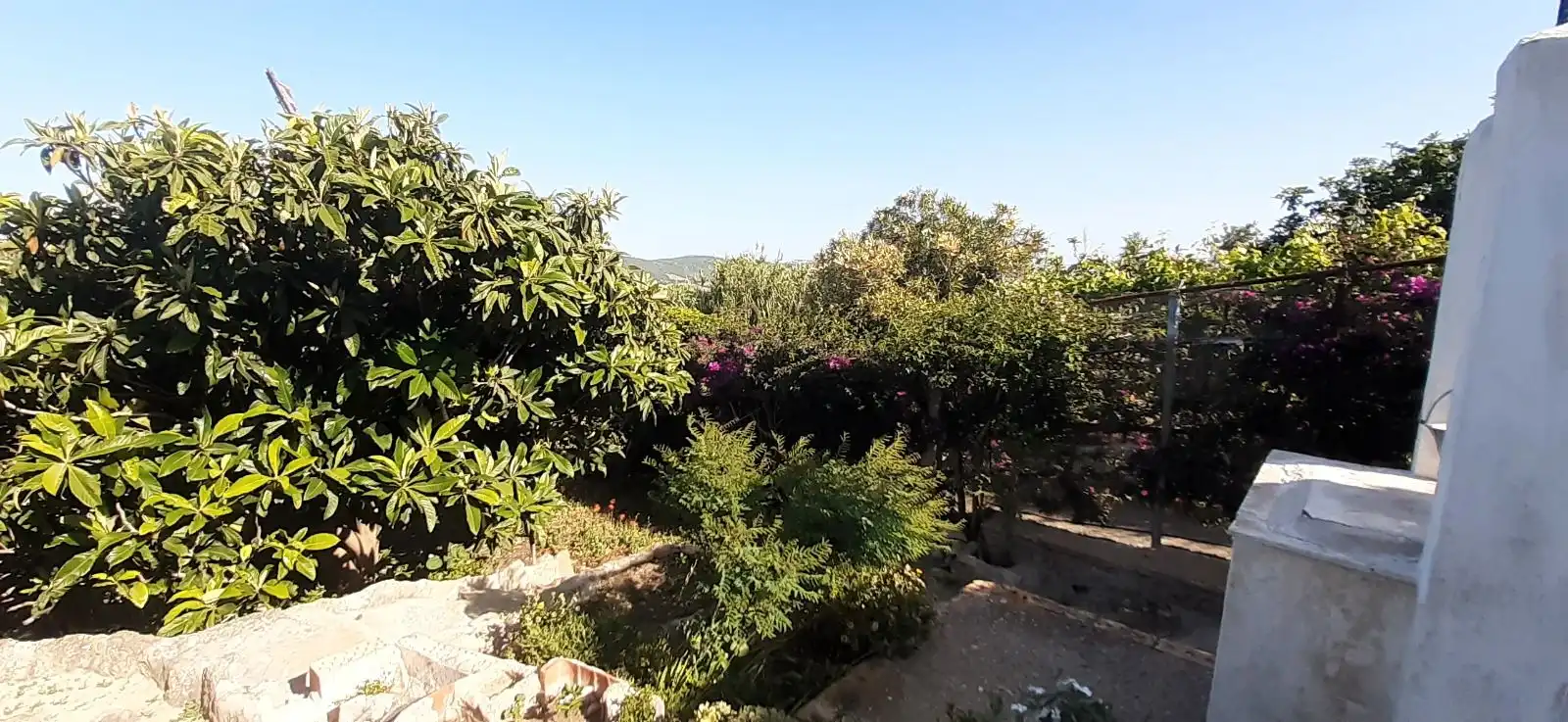 House with garden for sale in Camino Real, imagen 2