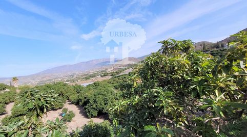 Foto 4 de Residencial en venta en Los Tablones - La Garnatilla, Motril