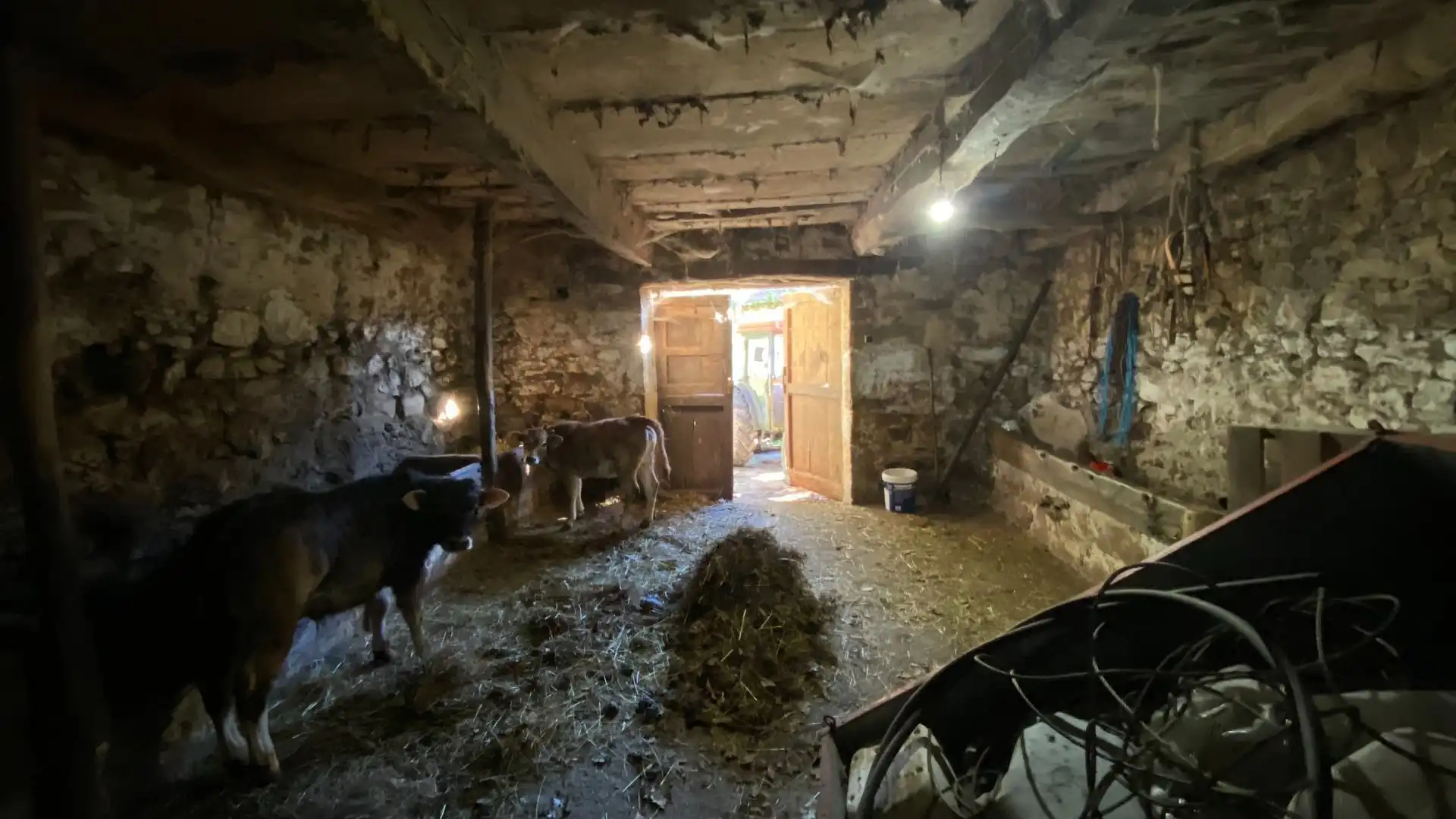 Casa o chalet en venta en Cangas de Onís