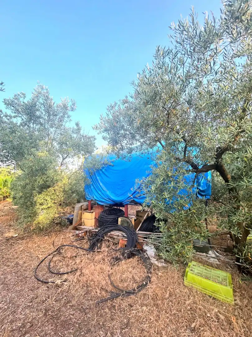 Casa o xalet en venda en Alcolea del Río amb Terrassa