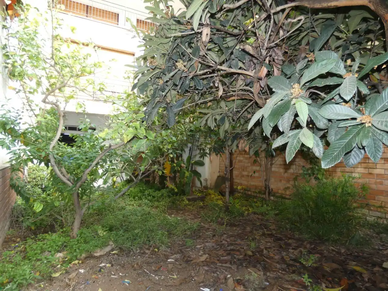 Local en venta en Calle Pius XII, Centre