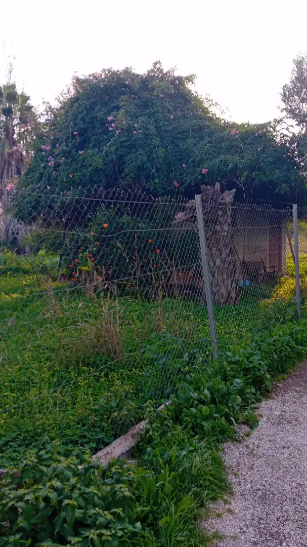 Land for sale in Era Alta