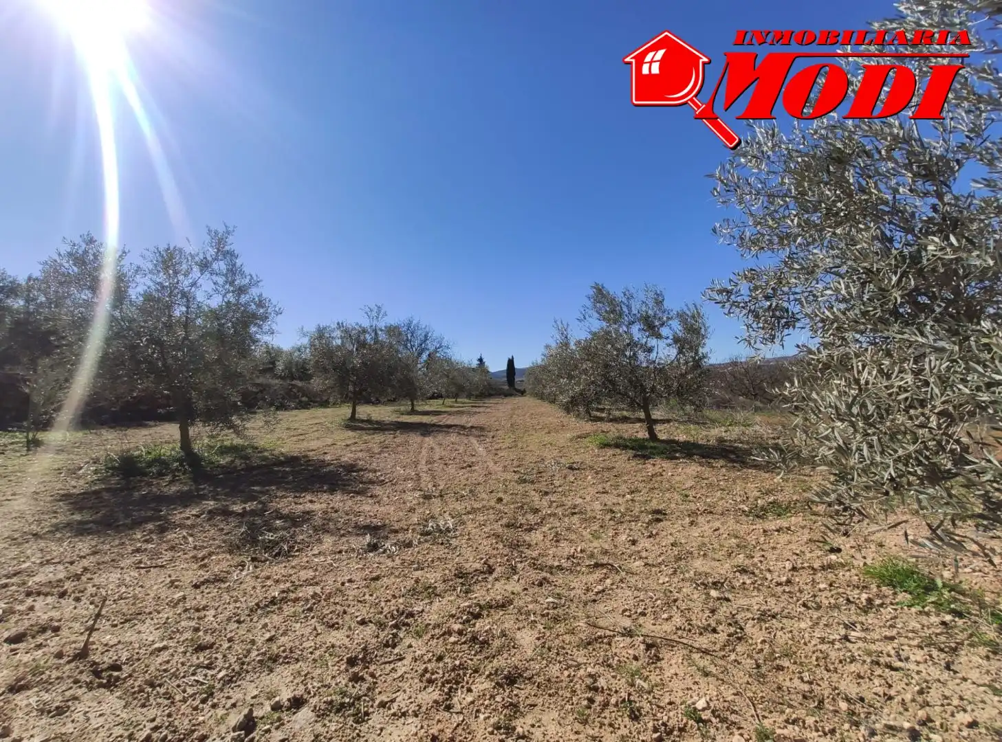 Terrenys i solars en venda a Villamena, imagen 11