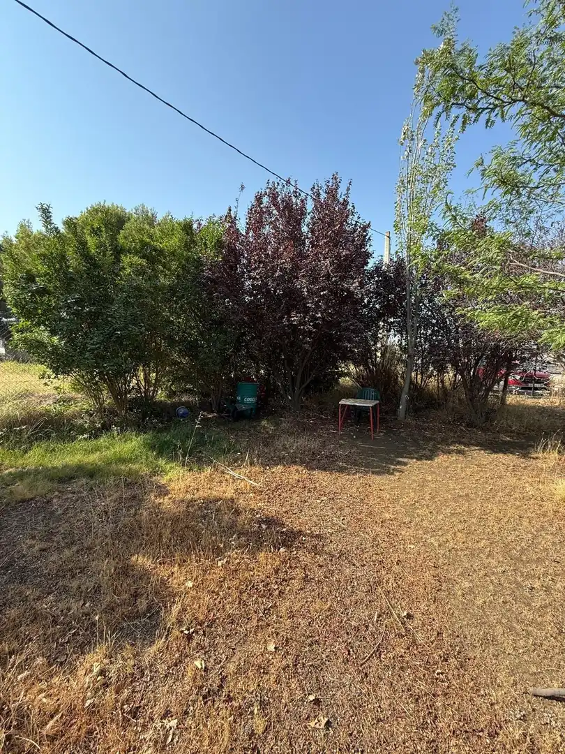 Terrain rustique à vendre à Barrios rurales del oeste, imagen 10
