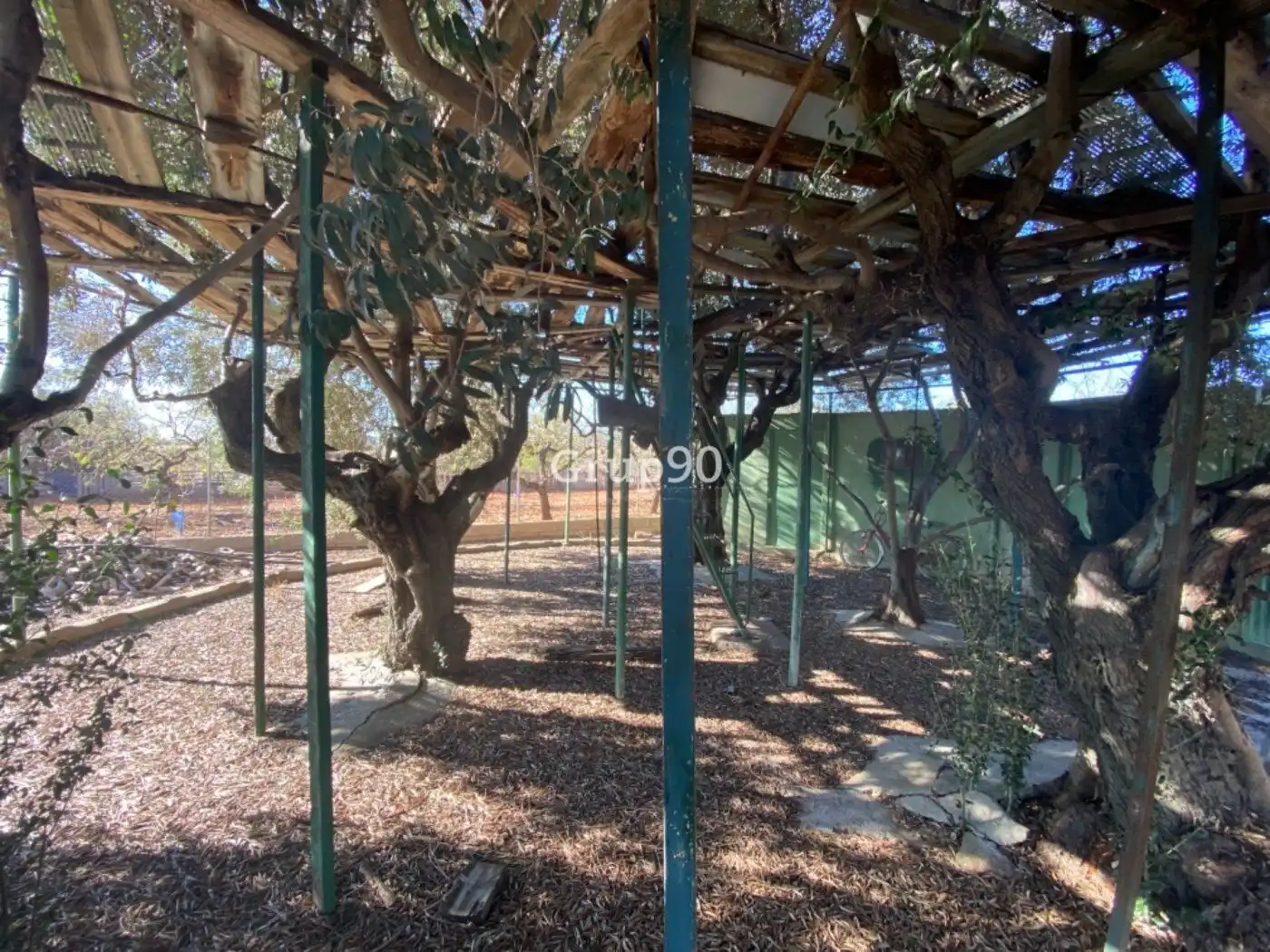 Jardín de Local en venta en Cabanes