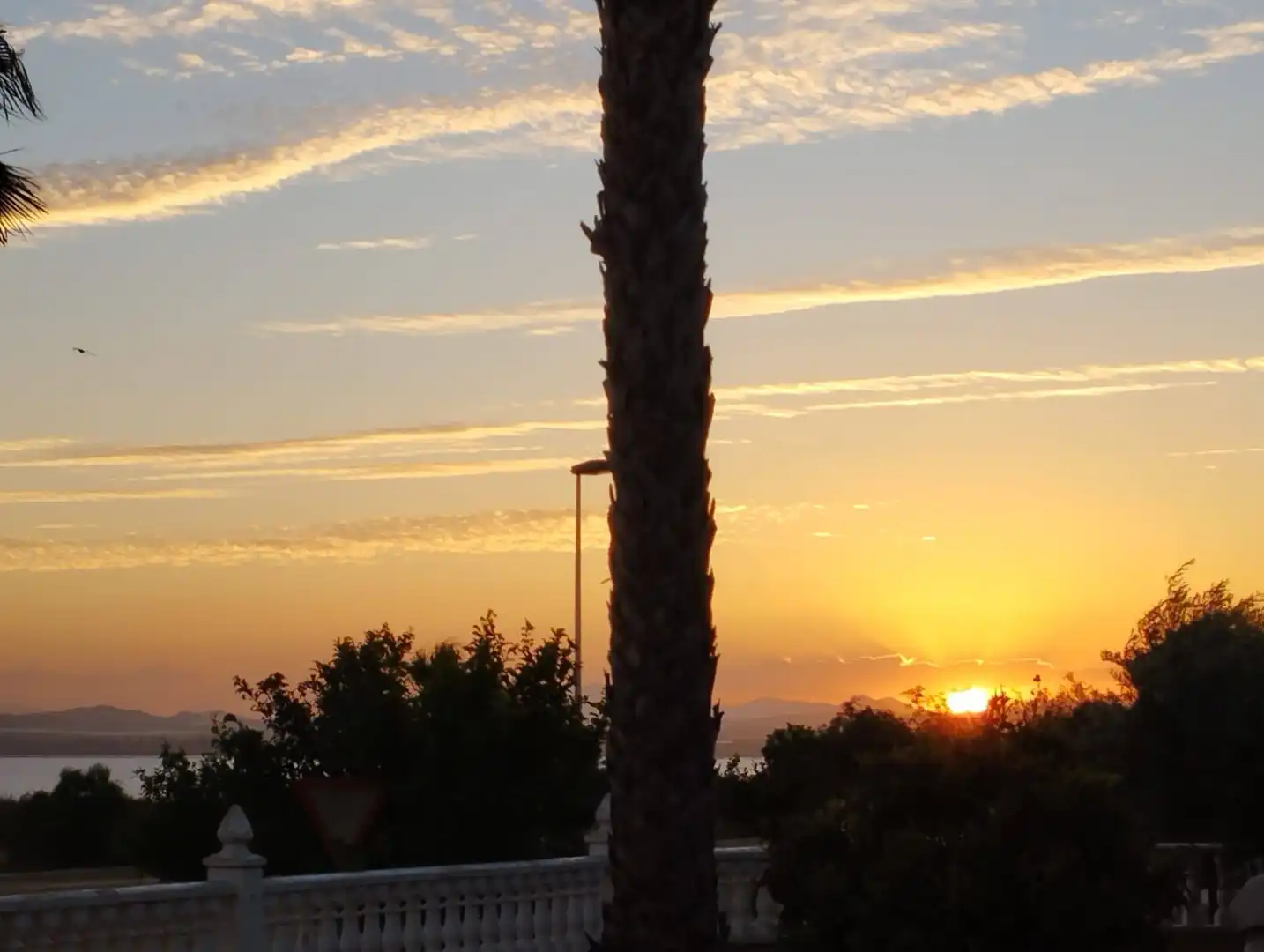 Detached house with pool for sale in Calle Calle de las Lavanderas, imagen 42