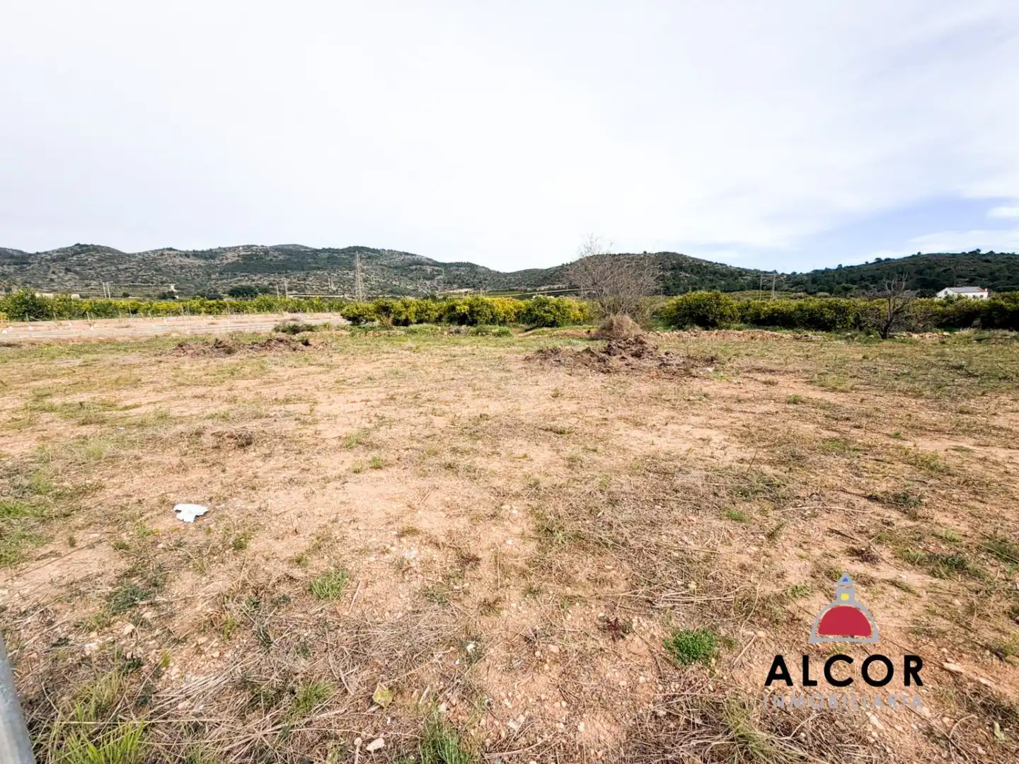 Country house for sale in Alcanar, imagen 20