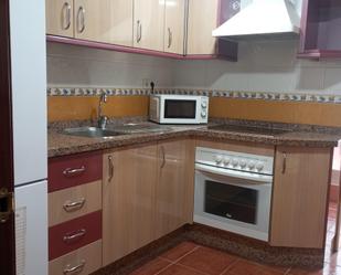 Kitchen of Flat to rent in Málaga Capital  with Heating and Terrace